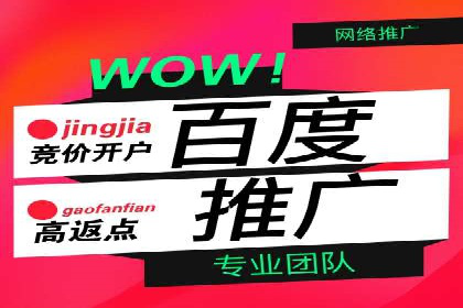百度竞价赚钱的技巧与成功案例探讨