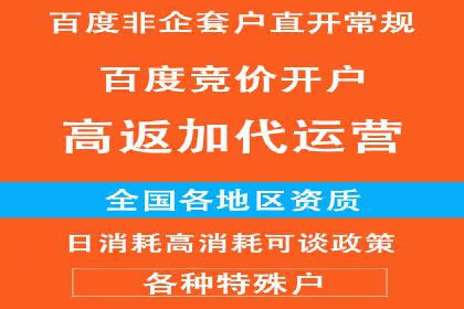 某科技公司的信息流广告投放策略与效果评估
